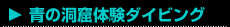 青の洞窟体験ダイビング：お客様の声