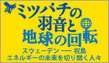 2011年11月23日