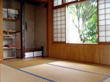 2011年11月11日