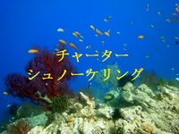 2011年11月11日