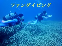 2011年11月11日