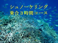 2011年11月11日