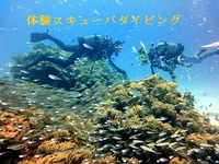 2011年11月11日