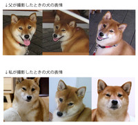 2012年04月19日