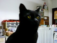 2012年04月20日