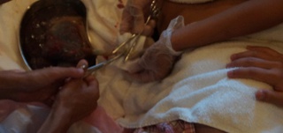 臍帯切断　臍帯結紮　のタイミング　新生児蘇生法２０１０改訂