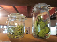 2012年01月21日