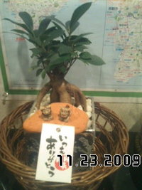 プレゼント
