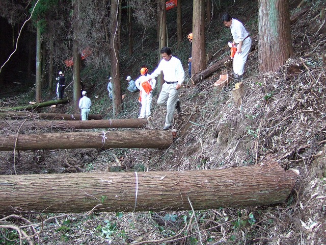スチール STIHL フォレストリーフェスティバル