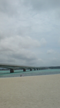 ビバ古宇利島 2008/05/23 13:19:51