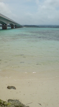 僕の右手 2008/06/06 13:39:40