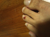 悲劇 2011/10/13 23:41:06