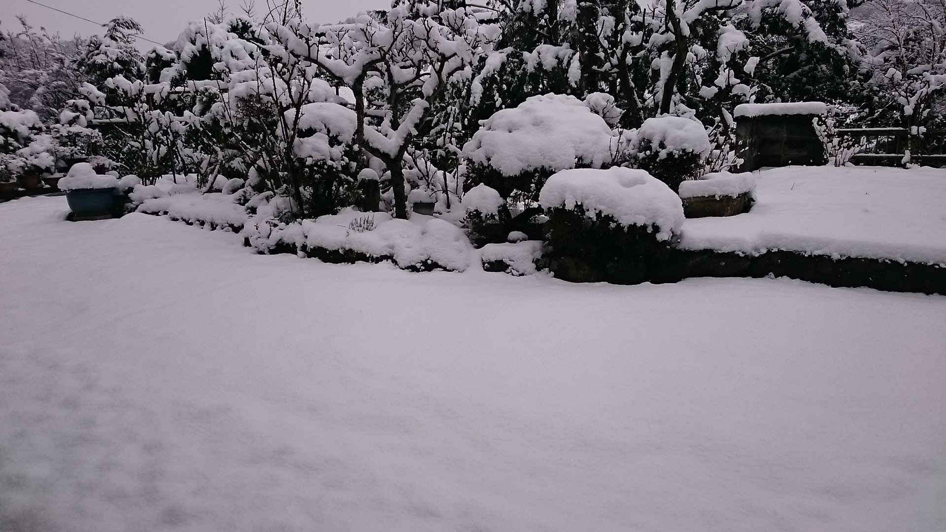 天からのおくりもの