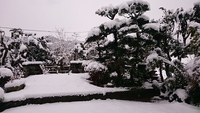 天からのおくりもの 2016/02/01 20:41:07