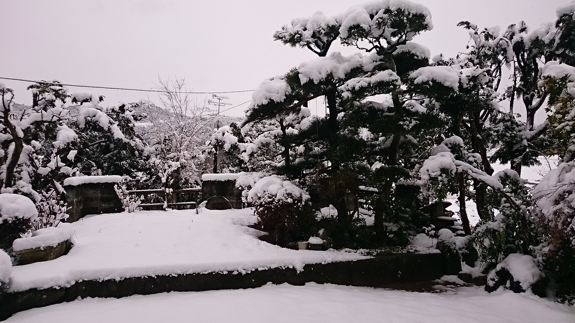天からのおくりもの