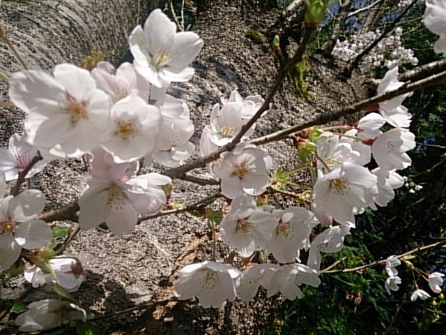 一流のもの