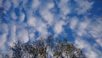 青空の水素のｿｰﾀﾞｰ 2015/11/17 21:46:48