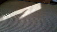 自分らしさという宝石 2015/12/08 21:36:48