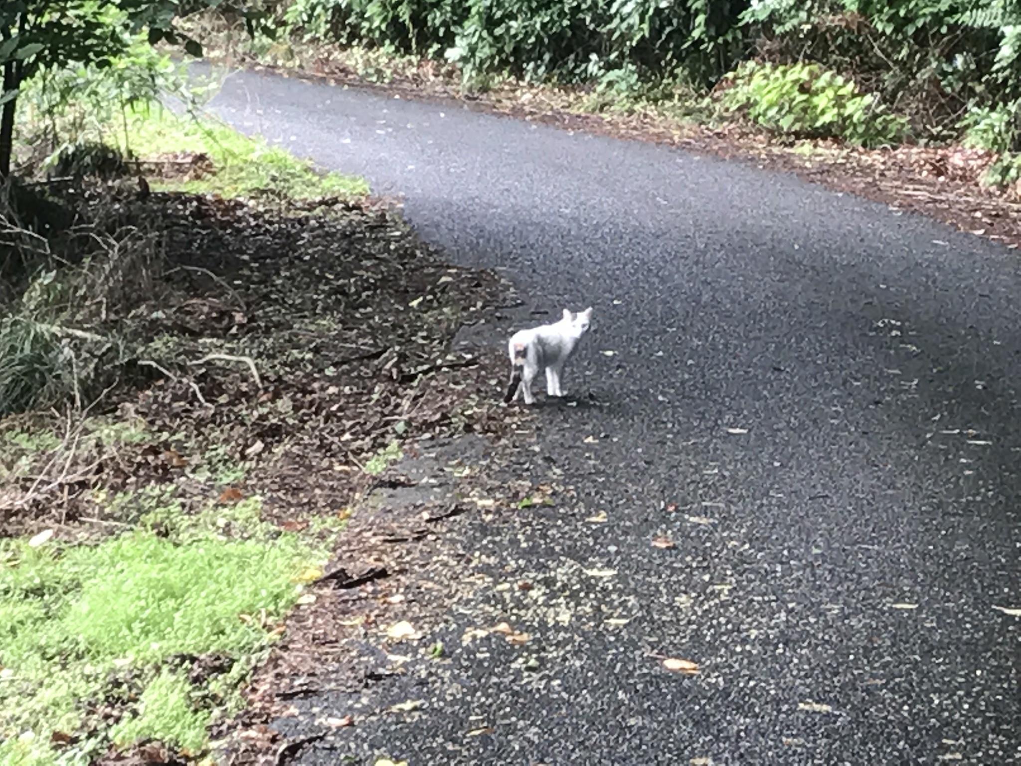 ふと思いました