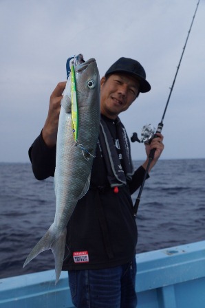 ジギング調査