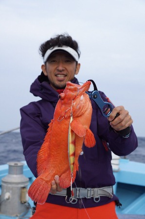 ジギング調査