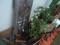 welcome！ 2013/02/11 18:44:31