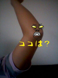 ビザクッション？ 2013/10/25 13:14:00
