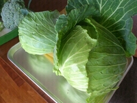 無農薬野菜作ってます。