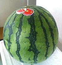 もうすぐ…。 2009/05/31 22:21:10