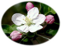 お仕事です！ 2009/05/11 10:00:00