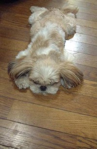 梅雨明け！！ 2009/06/29 22:45:03