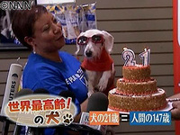 ギネス更新！　人間年齢１４７歳！ 2009/05/13 17:34:55