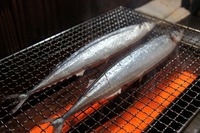 秋刀魚のおもひで 2011/09/09 15:28:06