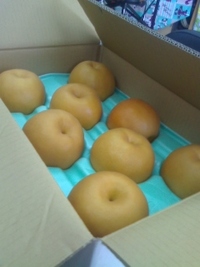 やった〜 2009/10/08 16:19:38