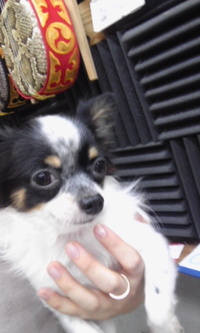 ぽん太 2009/10/23 16:17:51