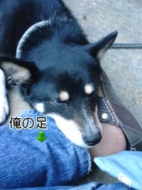 困った。 2009/07/11 19:25:33