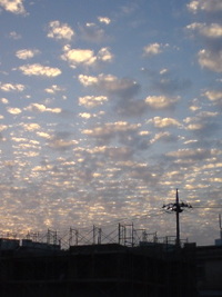 キラキラ雲 2010/03/01 18:35:39
