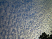 夕方の空 2009/11/09 20:02:28