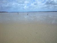 サニツ浜カーニバル 2009/07/19 10:16:40