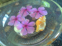 うえすやーにて 2009/07/27 15:42:42