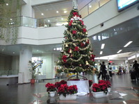 クリスマス 2009/11/13 13:10:50