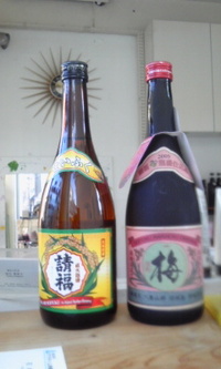新春のご挨拶 2011/01/19 16:59:12