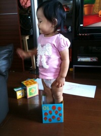 違います‥ 2011/09/23 15:43:18