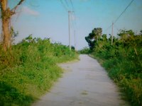 久場山越つぃ節