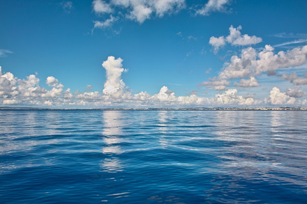 夏の海！