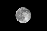 月が綺麗でした。 2010/09/25 21:45:06
