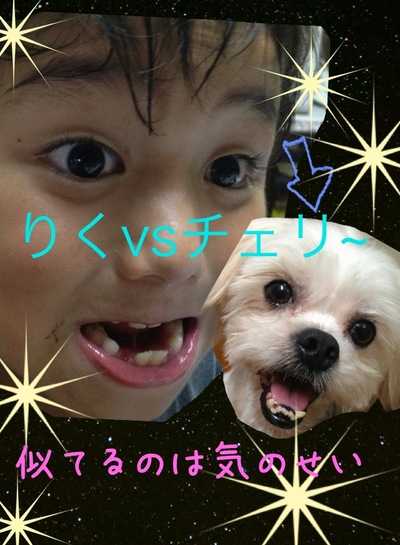うちの息子とペット