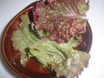 ベーグル食らう
