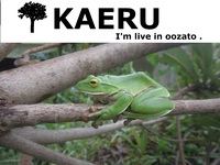 ポスターを・・・・・