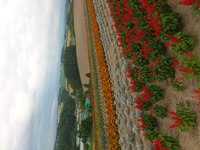 北海道旅行～。 2012/07/25 07:03:26